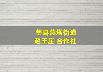 莘县燕塔街道赵王庄 合作社